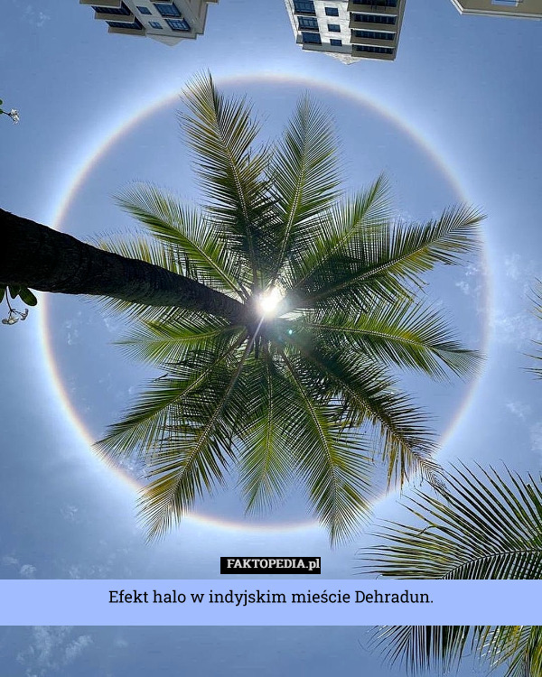 Efekt halo w indyjskim mieście Dehradun. 