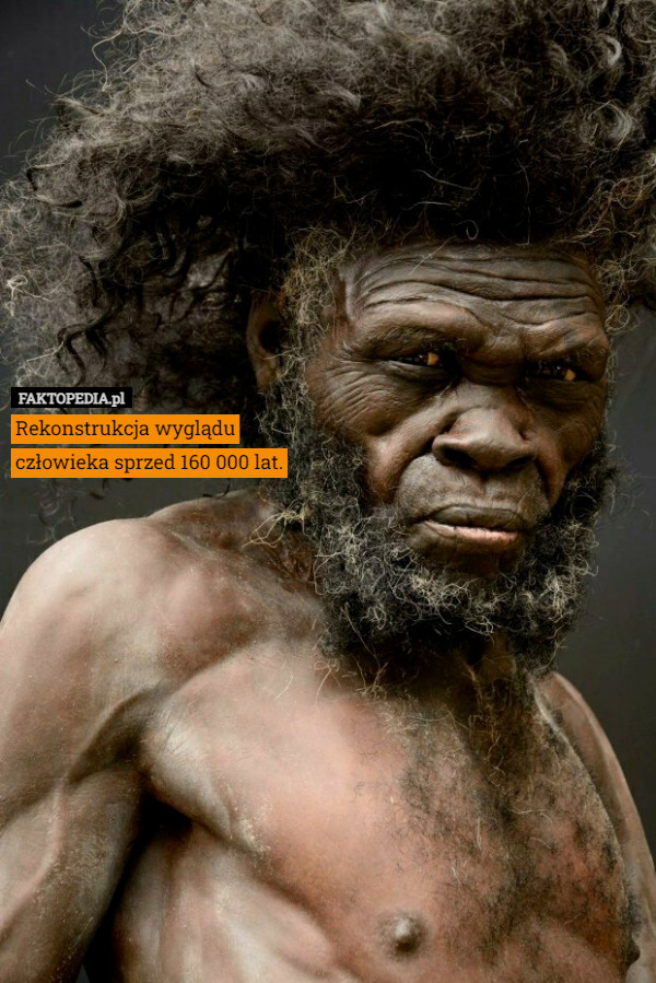 Rekonstrukcja wyglądu człowieka sprzed 160 000 lat. 