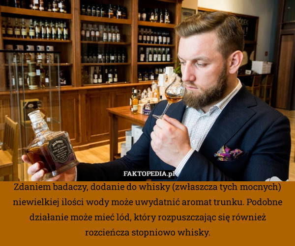 Zdaniem badaczy, dodanie do whisky (zwłaszcza tych mocnych) niewielkiej ilości wody może uwydatnić aromat trunku. Podobne działanie może mieć lód, który rozpuszczając się również rozcieńcza stopniowo whisky. 