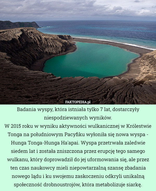 Badania wyspy, która istniała tylko 7 lat, dostarczyły niespodziewanych wyników.
W 2015 roku w wyniku aktywności wulkanicznej w Królestwie Tonga na południowym Pacyfiku wyłoniła się nowa wyspa - Hunga Tonga-Hunga Ha'apai. Wyspa przetrwała zaledwie siedem lat i została zniszczona przez erupcję tego samego wulkanu, który doprowadził do jej uformowania się, ale przez ten czas naukowcy mieli niepowtarzalną szansę zbadania nowego lądu i ku swojemu zaskoczeniu odkryli unikalną społeczność drobnoustrojów, która metabolizuje siarkę. 