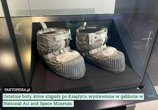 Ostatnie buty, które stąpały po Księżycu wystawione w gablocie w National Air and Space Museum. 