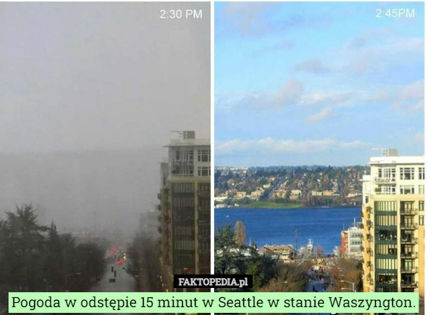 Pogoda w odstępie 15 minut w Seattle w stanie Waszyngton. 