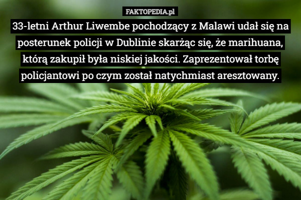 33-letni Arthur Liwembe pochodzący z Malawi udał się na posterunek policji w Dublinie skarżąc się, że marihuana, którą zakupił była niskiej jakości. Zaprezentował torbę policjantowi po czym został natychmiast aresztowany. 