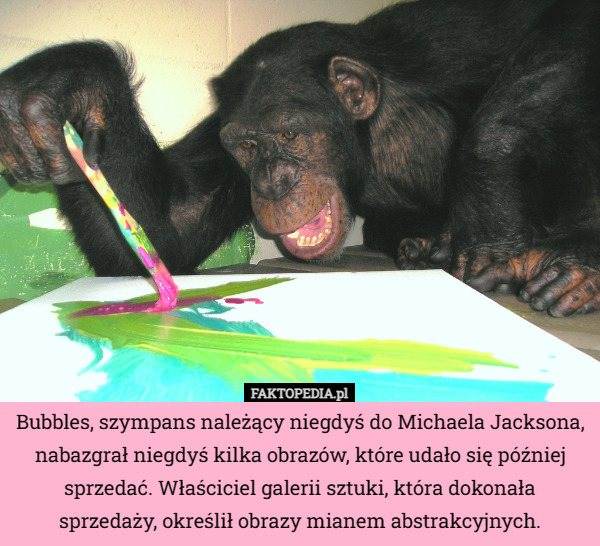 Bubbles, szympans należący niegdyś do Michaela Jacksona, nabazgrał niegdyś kilka obrazów, które udało się później sprzedać. Właściciel galerii sztuki, która dokonała sprzedaży, określił obrazy mianem abstrakcyjnych. 