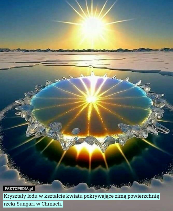 Kryształy lodu w kształcie kwiatu pokrywające zimą powierzchnię rzeki Sungari w Chinach. 