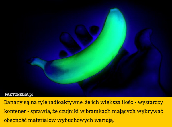 Banany są na tyle radioaktywne, że ich większa ilość - wystarczy kontener - sprawia, że czujniki w bramkach mających wykrywać obecność materiałów wybuchowych wariują. 