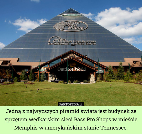 Jedną z najwyższych piramid świata jest budynek ze sprzętem wędkarskim sieci Bass Pro Shops w mieście Memphis w amerykańskim stanie Tennessee. 