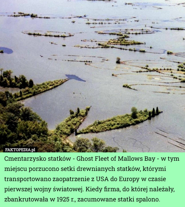 Cmentarzysko statków - Ghost Fleet of Mallows Bay - w tym miejscu porzucono setki drewnianych statków, którymi transportowano zaopatrzenie z USA do Europy w czasie pierwszej wojny światowej. Kiedy firma, do której należały, zbankrutowała w 1925 r., zacumowane statki spalono. 
