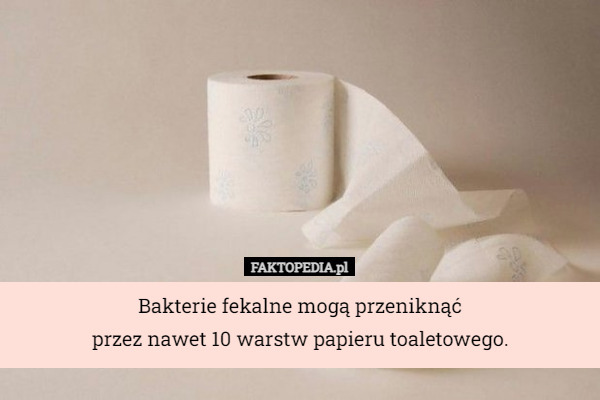 Bakterie fekalne mogą przeniknąć
przez nawet 10 warstw papieru toaletowego. 