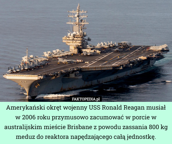 Amerykański okręt wojenny USS Ronald Reagan musiał w 2006 roku przymusowo zacumować w porcie w australijskim mieście Brisbane z powodu zassania 800 kg meduz do reaktora napędzającego całą jednostkę. 