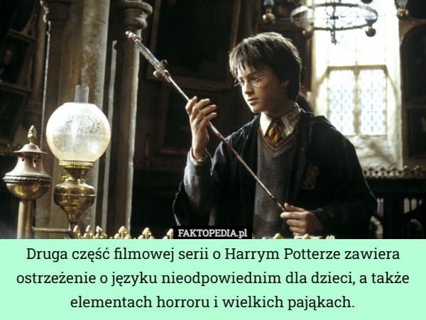 Druga część filmowej serii o Harrym Potterze zawiera ostrzeżenie o języku nieodpowiednim dla dzieci, a także elementach horroru i wielkich pająkach. 