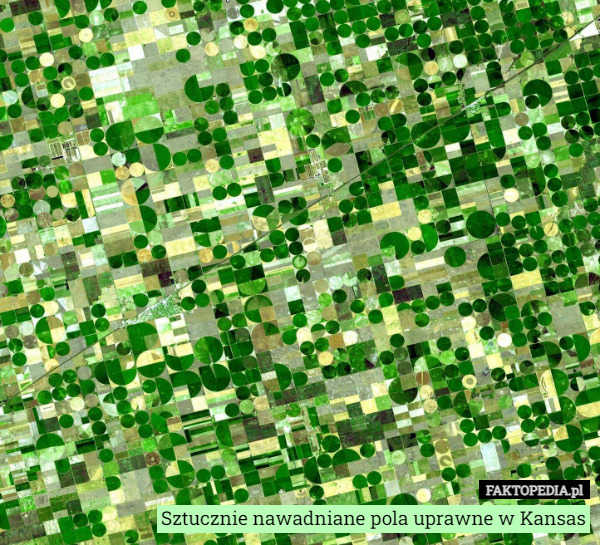 Sztucznie nawadniane pola uprawne w Kansas 