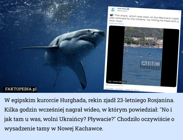 W egipskim kurorcie Hurghada, rekin zjadł 23-letniego Rosjanina. Kilka godzin wcześniej nagrał wideo, w którym powiedział: "No i jak tam u was, wolni Ukraińcy? Pływacie?" Chodziło oczywiście o wysadzenie tamy w Nowej Kachawce. 