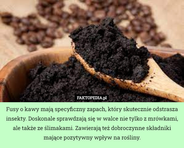 Fusy o kawy mają specyficzny zapach, który skutecznie odstrasza insekty. Doskonale sprawdzają się w walce nie tylko z mrówkami, ale także ze ślimakami. Zawierają też dobroczynne składniki mające pozytywny wpływ na rośliny. 