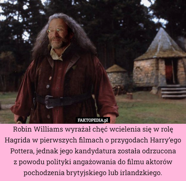 Robin Williams wyrażał chęć wcielenia się w rolę Hagrida w pierwszych filmach o przygodach Harry’ego Pottera, jednak jego kandydatura została odrzucona
z powodu polityki angażowania do filmu aktorów pochodzenia brytyjskiego lub irlandzkiego. 