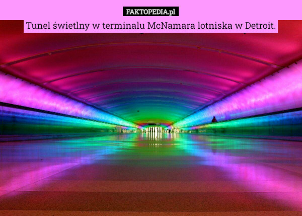 Tunel świetlny w terminalu McNamara lotniska w Detroit. 