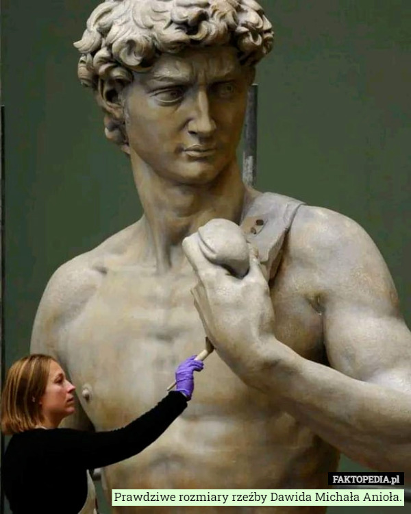 Prawdziwe rozmiary rzeźby Dawida Michała Anioła. 