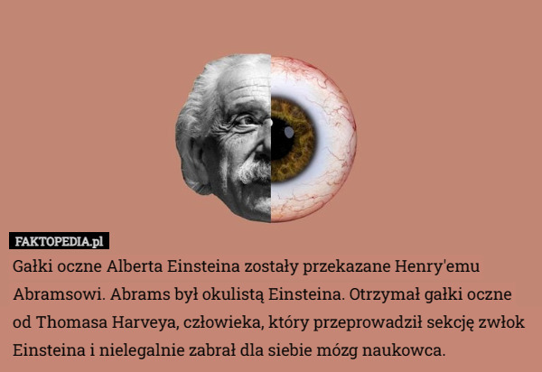 Gałki oczne Alberta Einsteina zostały przekazane Henry'emu Abramsowi. Abrams był okulistą Einsteina. Otrzymał gałki oczne od Thomasa Harveya, człowieka, który przeprowadził sekcję zwłok Einsteina i nielegalnie zabrał dla siebie mózg naukowca. 