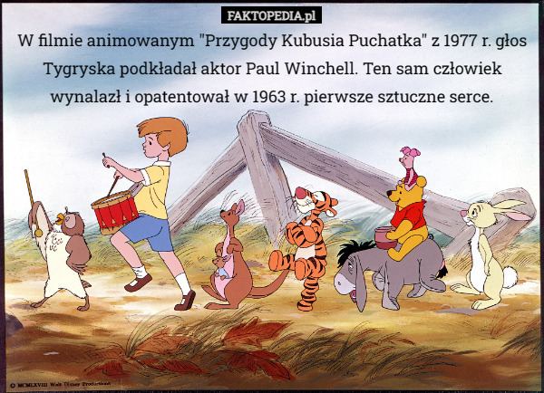 W filmie animowanym "Przygody Kubusia Puchatka" z 1977 r. głos Tygryska podkładał aktor Paul Winchell. Ten sam człowiek wynalazł i opatentował w 1963 r. pierwsze sztuczne serce. 