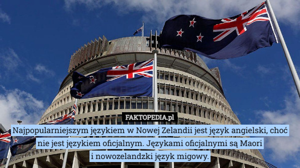 Najpopularniejszym językiem w Nowej Zelandii jest język angielski, choć nie jest językiem oficjalnym. Językami oficjalnymi są Maori
 i nowozelandzki język migowy. 