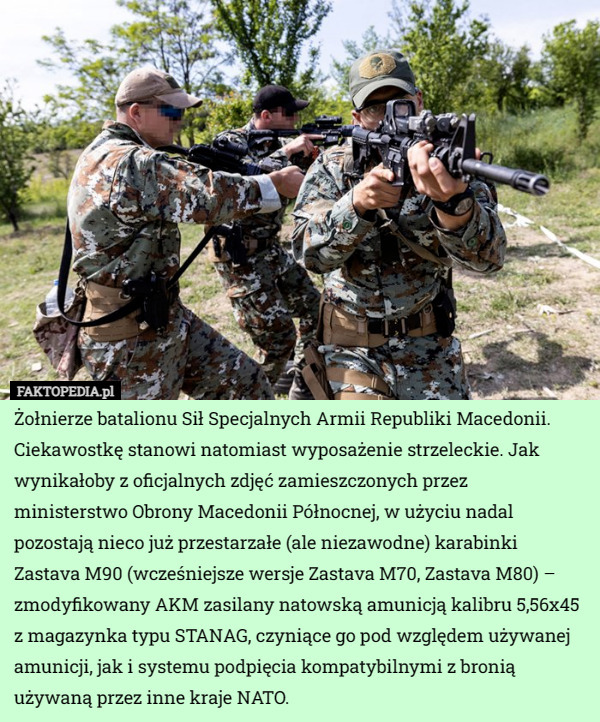 Żołnierze batalionu Sił Specjalnych Armii Republiki Macedonii. Ciekawostkę stanowi natomiast wyposażenie strzeleckie. Jak wynikałoby z oficjalnych zdjęć zamieszczonych przez ministerstwo Obrony Macedonii Północnej, w użyciu nadal pozostają nieco już przestarzałe (ale niezawodne) karabinki Zastava M90 (wcześniejsze wersje Zastava M70, Zastava M80) – zmodyfikowany AKM zasilany natowską amunicją kalibru 5,56x45 z magazynka typu STANAG, czyniące go pod względem używanej amunicji, jak i systemu podpięcia kompatybilnymi z bronią używaną przez inne kraje NATO. 