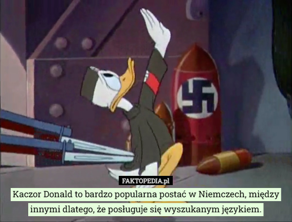 Kaczor Donald to bardzo popularna postać w Niemczech, między innymi dlatego, że posługuje się wyszukanym językiem. 