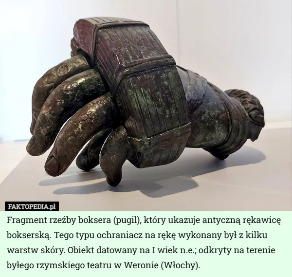 Fragment rzeźby boksera (pugil), który ukazuje antyczną rękawicę bokserską. Tego typu ochraniacz na rękę wykonany był z kilku warstw skóry. Obiekt datowany na I wiek n.e.; odkryty na terenie byłego rzymskiego teatru w Weronie (Włochy). 