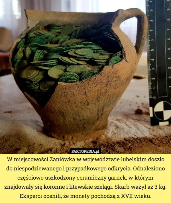 W miejscowości Zaniówka w województwie lubelskim doszło do niespodziewanego i przypadkowego odkrycia. Odnaleziono częściowo uszkodzony ceramiczny garnek, w którym znajdowały się koronne i litewskie szelągi. Skarb ważył aż 3 kg. Eksperci ocenili, że monety pochodzą z XVII wieku. 