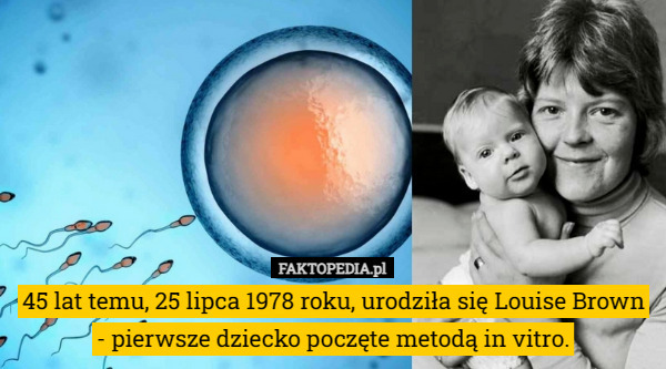 45 lat temu, 25 lipca 1978 roku, urodziła się Louise Brown - pierwsze dziecko poczęte metodą in vitro. 