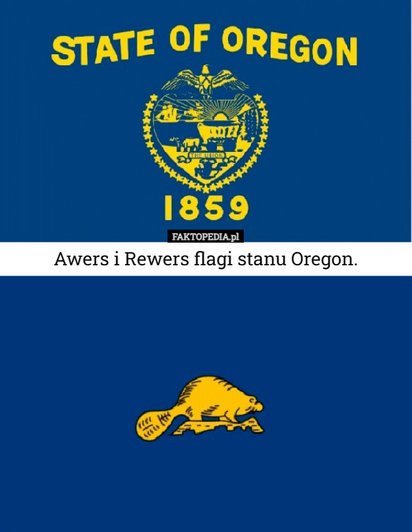 Awers i Rewers flagi stanu Oregon. 