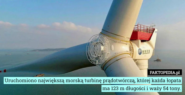 Uruchomiono największą morską turbinę prądotwórczą, której każda łopata ma 123 m długości i waży 54 tony. 