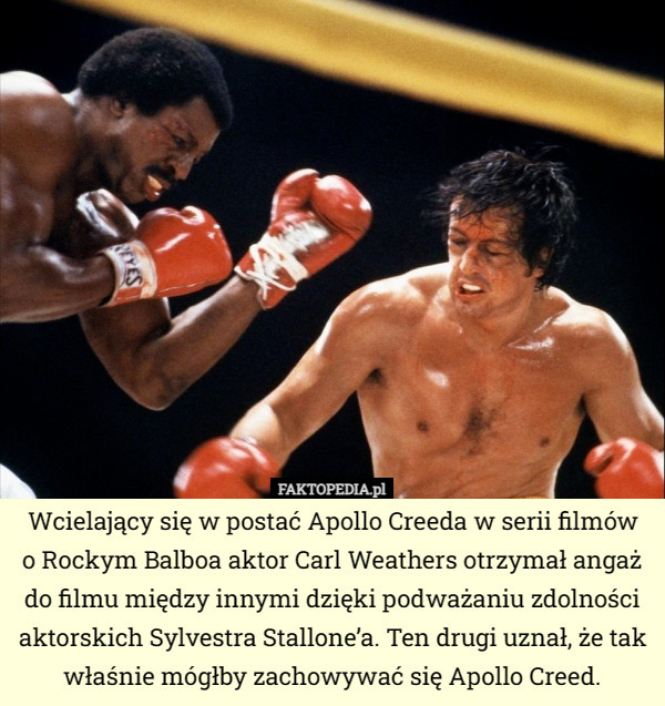 Wcielający się w postać Apollo Creeda w serii filmów
o Rockym Balboa aktor Carl Weathers otrzymał angaż do filmu między innymi dzięki podważaniu zdolności aktorskich Sylvestra Stallone’a. Ten drugi uznał, że tak właśnie mógłby zachowywać się Apollo Creed. 