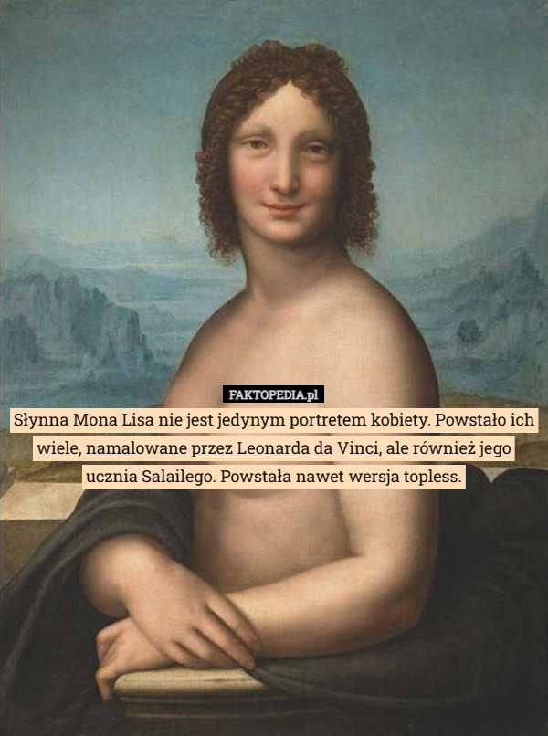 Słynna Mona Lisa nie jest jedynym portretem kobiety. Powstało ich wiele, namalowane przez Leonarda da Vinci, ale również jego ucznia Salailego. Powstała nawet wersja topless. 
