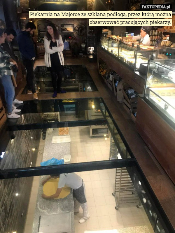 Piekarnia na Majorce ze szklaną podłogą, przez którą można obserwować pracujących piekarzy. 