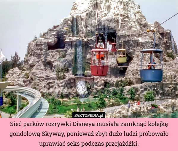 Sieć parków rozrywki Disneya musiała zamknąć kolejkę gondolową Skyway, ponieważ zbyt dużo ludzi próbowało uprawiać seks podczas przejażdżki. 