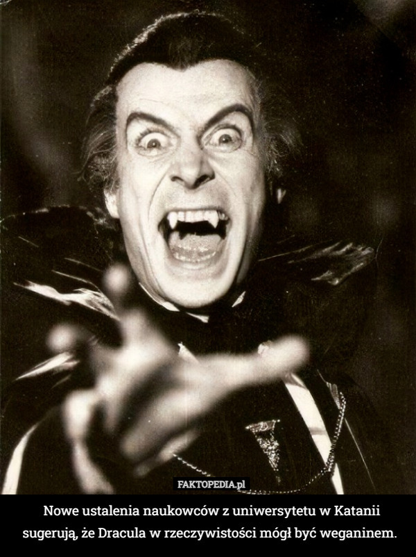 Nowe ustalenia naukowców z uniwersytetu w Katanii sugerują, że Dracula w rzeczywistości mógł być weganinem. 