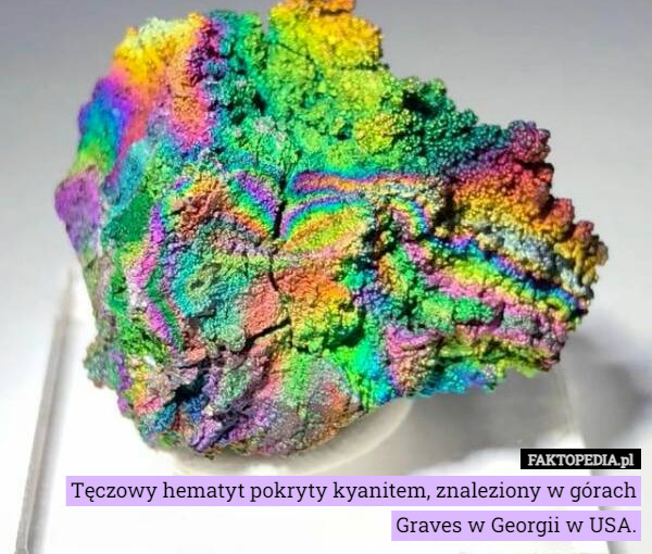 Tęczowy hematyt pokryty kyanitem, znaleziony w górach Graves w Georgii w USA. 
