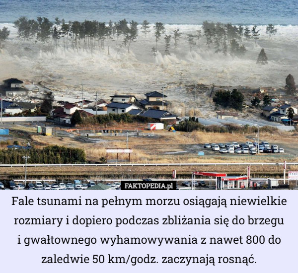Fale tsunami na pełnym morzu osiągają niewielkie rozmiary i dopiero podczas zbliżania się do brzegu
i gwałtownego wyhamowywania z nawet 800 do zaledwie 50 km/godz. zaczynają rosnąć. 