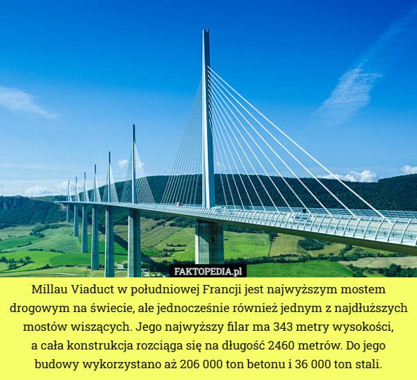 Millau Viaduct w południowej Francji jest najwyższym mostem drogowym na świecie, ale jednocześnie również jednym z najdłuższych mostów wiszących. Jego najwyższy filar ma 343 metry wysokości,
 a cała konstrukcja rozciąga się na długość 2460 metrów. Do jego budowy wykorzystano aż 206 000 ton betonu i 36 000 ton stali. 