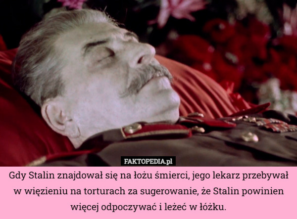 Gdy Stalin znajdował się na łożu śmierci, jego lekarz przebywał w więzieniu na torturach za sugerowanie, że Stalin powinien więcej odpoczywać i leżeć w łóżku. 