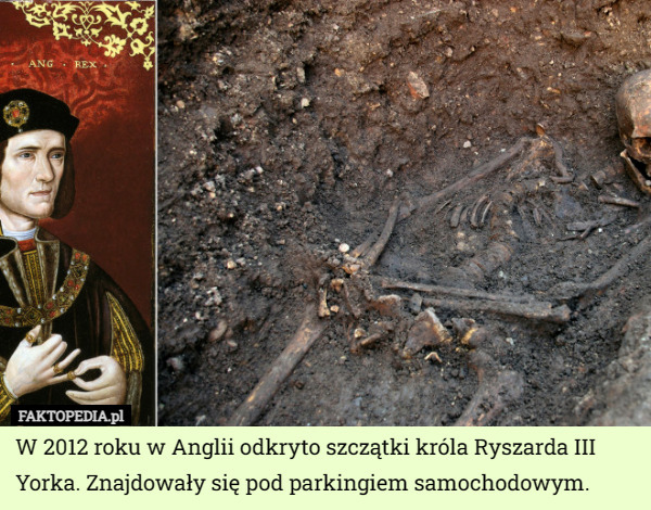 W 2012 roku w Anglii odkryto szczątki króla Ryszarda III Yorka. Znajdowały się pod parkingiem samochodowym. 