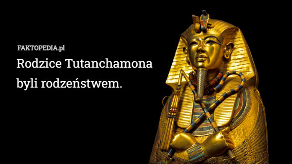 Rodzice Tutanchamona 
byli rodzeństwem. 