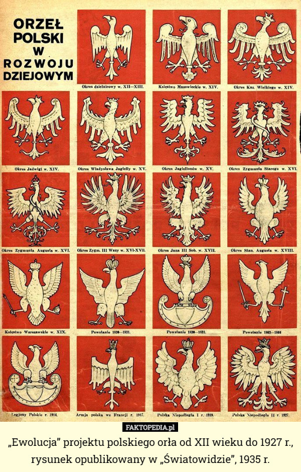„Ewolucja” projektu polskiego orła od XII wieku do 1927 r., rysunek opublikowany w „Światowidzie”, 1935 r. 
