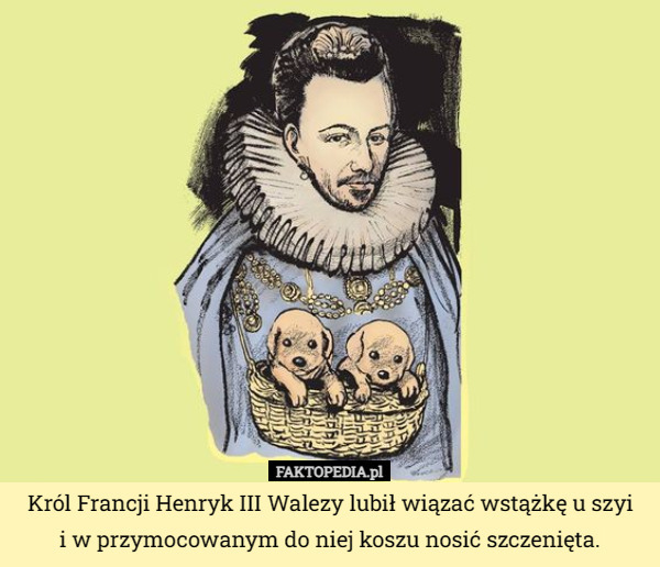 Król Francji Henryk III Walezy lubił wiązać wstążkę u szyi
 i w przymocowanym do niej koszu nosić szczenięta. 