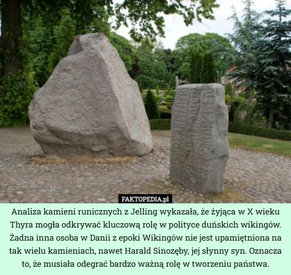 Analiza kamieni runicznych z Jelling wykazała, że żyjąca w X wieku Thyra mogła odkrywać kluczową rolę w polityce duńskich wikingów. Żadna inna osoba w Danii z epoki Wikingów nie jest upamiętniona na tak wielu kamieniach, nawet Harald Sinozęby, jej słynny syn. Oznacza to, że musiała odegrać bardzo ważną rolę w tworzeniu państwa. 
