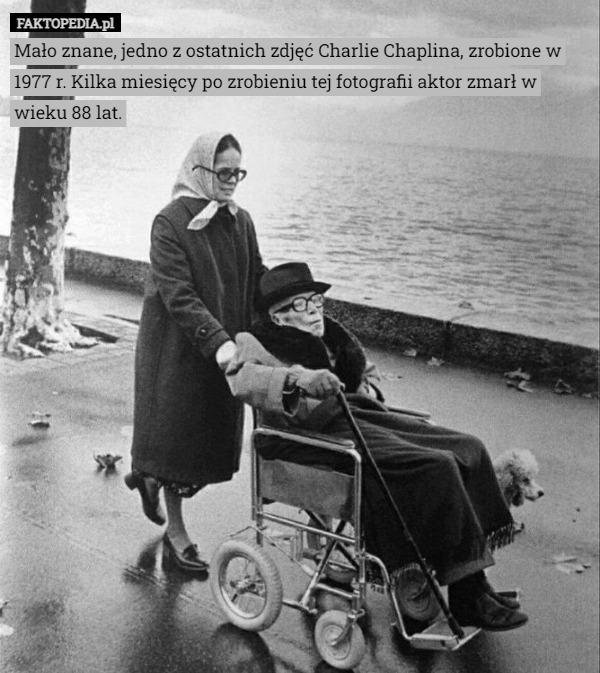 Mało znane, jedno z ostatnich zdjęć Charlie Chaplina, zrobione w 1977 r. Kilka miesięcy po zrobieniu tej fotografii aktor zmarł w wieku 88 lat. 