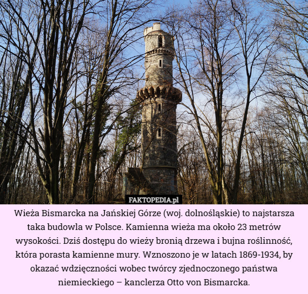 Wieża Bismarcka na Jańskiej Górze (woj. dolnośląskie) to najstarsza taka budowla w Polsce. Kamienna wieża ma około 23 metrów wysokości. Dziś dostępu do wieży bronią drzewa i bujna roślinność, która porasta kamienne mury. Wznoszono je w latach 1869-1934, by okazać wdzięczności wobec twórcy zjednoczonego państwa niemieckiego – kanclerza Otto von Bismarcka. 