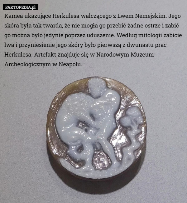 Kamea ukazujące Herkulesa walczącego z Lwem Nemejskim. Jego skóra była tak twarda, że nie mogła go przebić żadne ostrze i zabić go można było jedynie poprzez uduszenie. Według mitologii zabicie lwa i przyniesienie jego skóry było pierwszą z dwunastu prac Herkulesa. Artefakt znajduje się w Narodowym Muzeum Archeologicznym w Neapolu. 