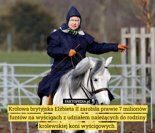 Królowa brytyjska Elżbieta II zarobiła prawie 7 milionów funtów na wyścigach z udziałem należących do rodziny królewskiej koni wyścigowych. 