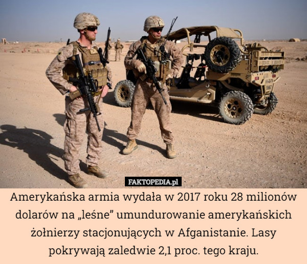 Amerykańska armia wydała w 2017 roku 28 milionów dolarów na „leśne” umundurowanie amerykańskich żołnierzy stacjonujących w Afganistanie. Lasy pokrywają zaledwie 2,1 proc. tego kraju. 